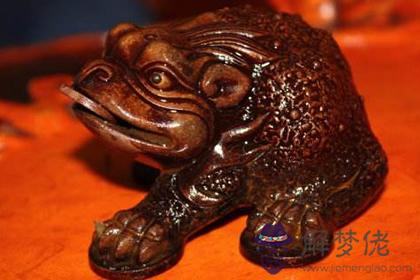 金蟾究竟有哪些神奇的功效(圖文)