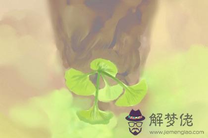 裝修房子風水注意事項 有什么禁忌(圖文)