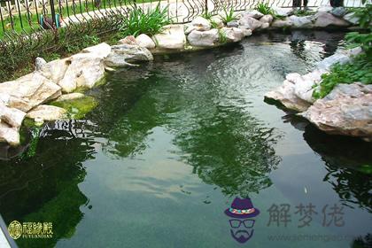 別墅庭院魚池風水的常識與布局(圖文)