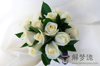 家里的餐桌上可以擺放著白玫瑰嗎(圖文)