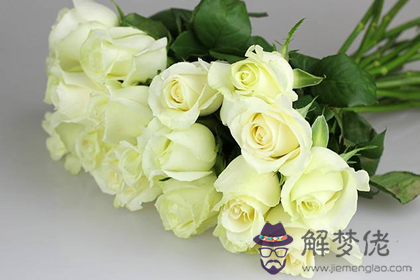家里的餐桌上可以擺放著白玫瑰嗎(圖文)