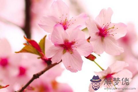 2020年旺姻緣風水布局 2020年如何旺姻緣
