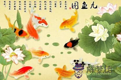 客廳掛畫風水九魚圖有什么寓意(圖文)