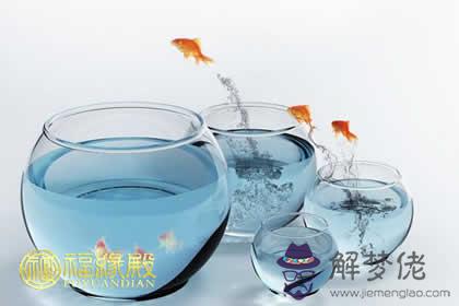 辦公桌上養魚有什么風水功效(圖文)