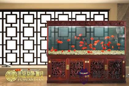 詳解:辦公室魚缸擺放位置的正確方法(圖文)