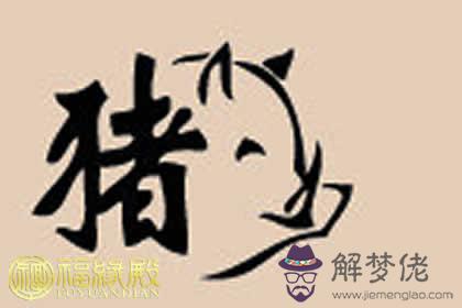 屬豬辦公室座位朝向風水的布局(圖文)