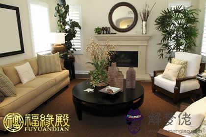 客廳植物風水擺放小技巧(圖文)