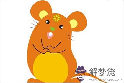 生肖鼠豬年需要注意的風水問題(圖文)