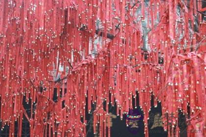 揭秘生肖龍豬年怎么招桃花(圖文)