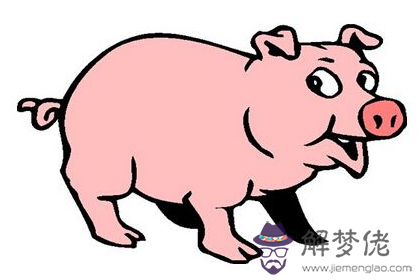 生肖羊豬年需要注意的風水問題(圖文)