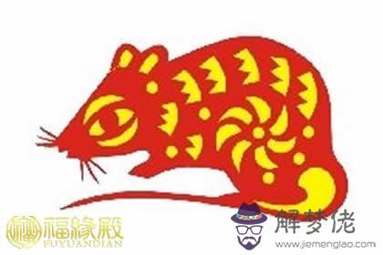 詳解:屬鼠辦公室風水布局技巧與注意事項(圖文)