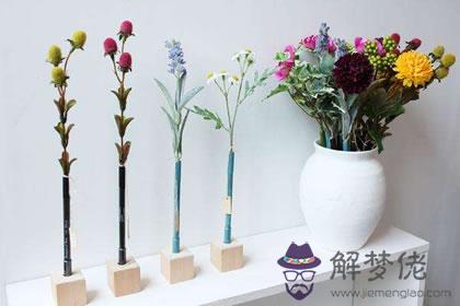 屬羊者家居養花的風水禁忌(圖文)