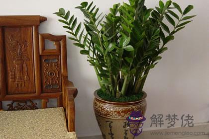 2020年招財風水應該這樣擺了(圖文)