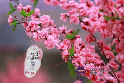 教你分辨桃花運和桃花煞的區別(圖文)