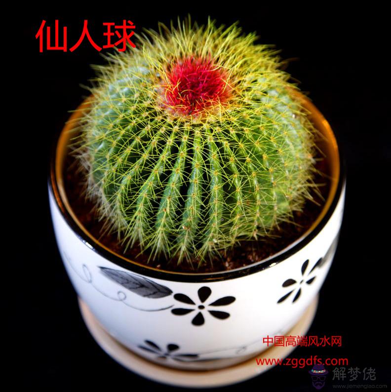 臥室風水禁忌，只要去掉這些東西，好運自然來(圖文)