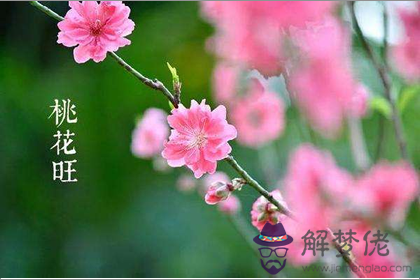 命犯桃花是什么意思 全面剖析桃花煞(圖文)