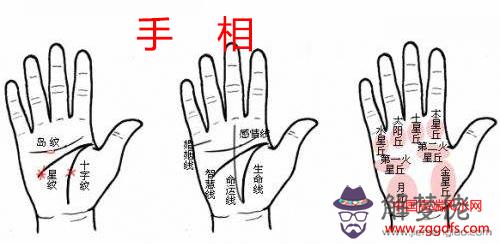 感情線起點分叉圖解(圖文)