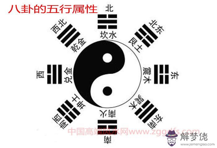 辦公室鮮花擺放的風水講究(圖文)