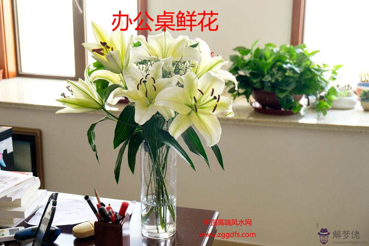 辦公室鮮花擺放的風水講究(圖文)