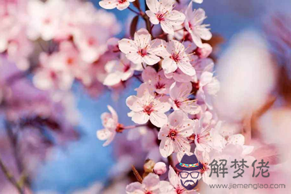 更全面的桃花煞的破解之法(圖文)