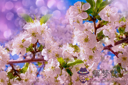 更全面的桃花煞的破解之法(圖文)
