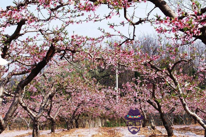 更全面的桃花煞的破解之法(圖文)