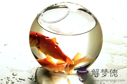 書桌上面擺放什么可以有利于財運(圖文)