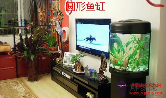 家庭養魚風水知識(圖文)