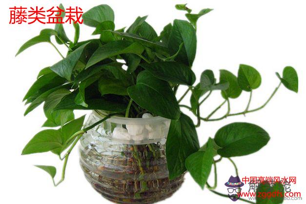 房屋裝修 必須注意的十大風水禁忌！(圖文)