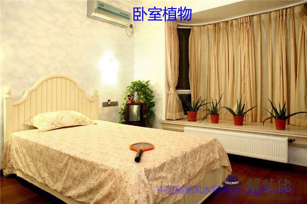 臥室風水禁忌，床頭千萬別放這些東西(圖文)