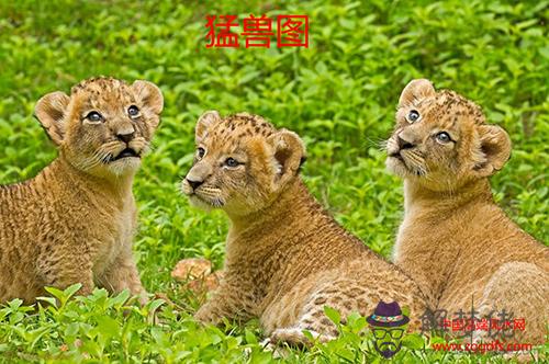 青少年的臥室風水禁忌(圖文)