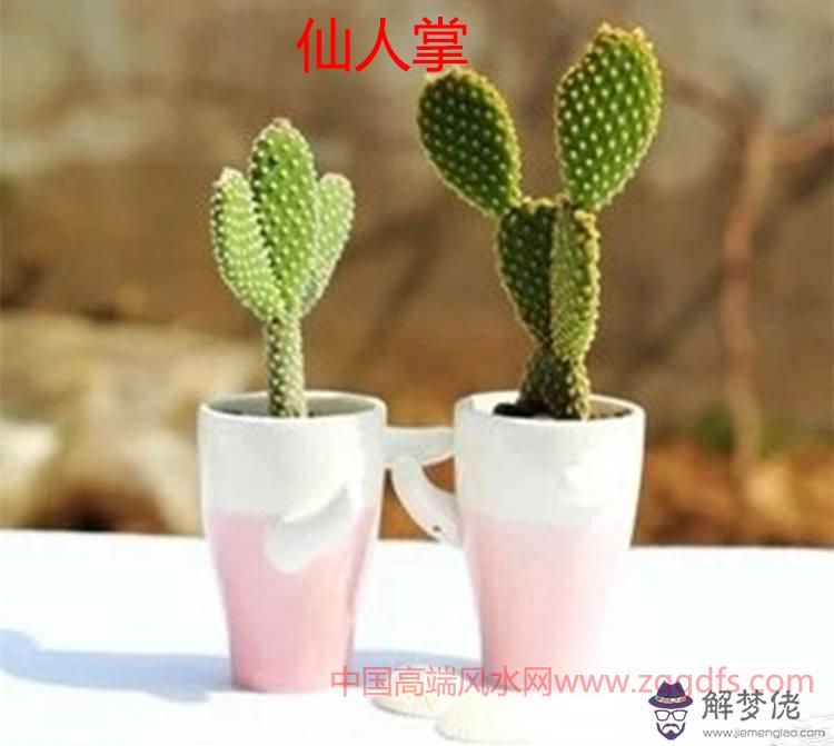 八宅風水如何用九星開運(圖文)