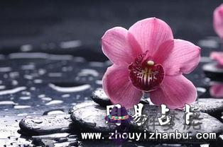 30b30b6c3013fff8-a807c704bd5a8c80-5cf18e16248bb97cc53dcca609c98e58.jpg