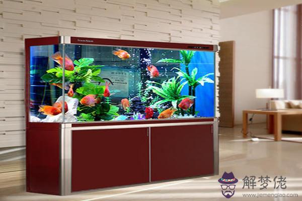 客廳魚缸風水講究 客廳魚缸風水講究