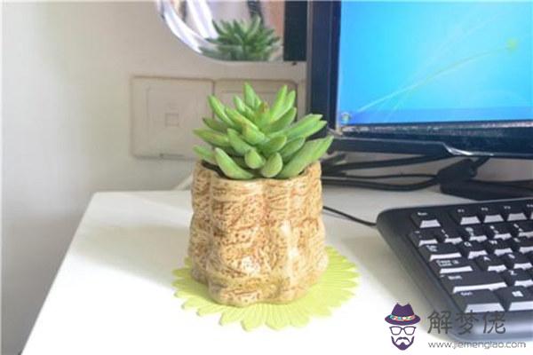 女性辦公桌上應擺放什么