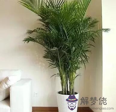 15家居風水吉位 解夢佬