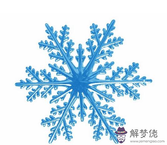 2月2日是什么生日花 解夢佬 2月2日是什么生日花 解夢佬