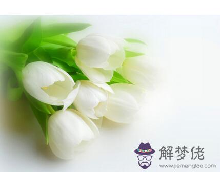 1月7日是什么生日花 解夢佬