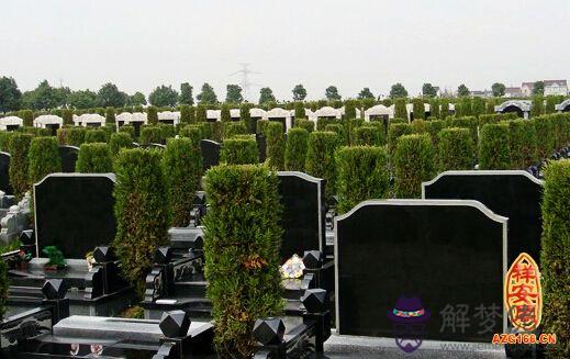 怎樣選好墓地 解夢佬
