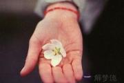 女人財運好的手相