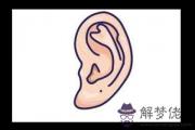 耳朵痣多是聰明過頭的表現