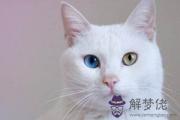 長陰陽眼的女生姻緣怎么樣