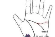 容易暴富的手相紋路