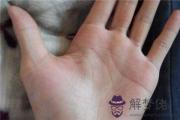 最富貴的12種手紋圖片是什么樣的