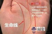 什么是元寶紋 擁有元寶紋手相的人命運