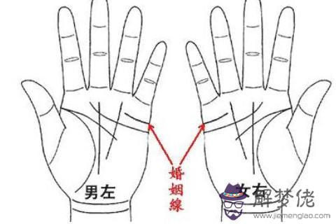 容易出軌的男人手相