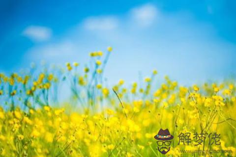 女命八字帶傷官好不好？