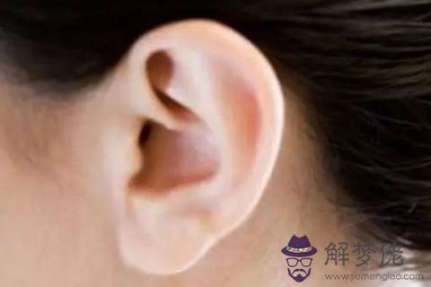 貼耳面相的人怎麼樣？