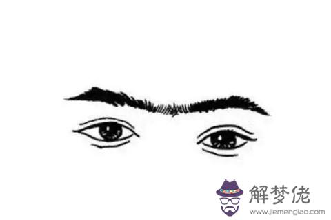 有連心眉的人事業有成？