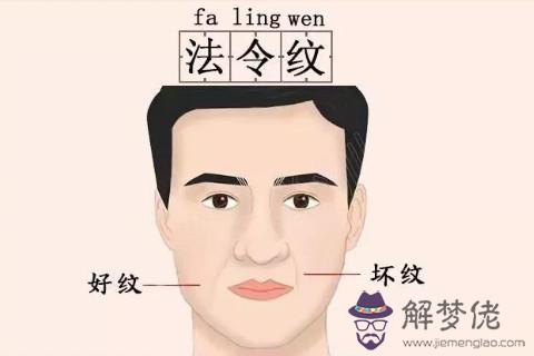 法令紋看相分析命運
